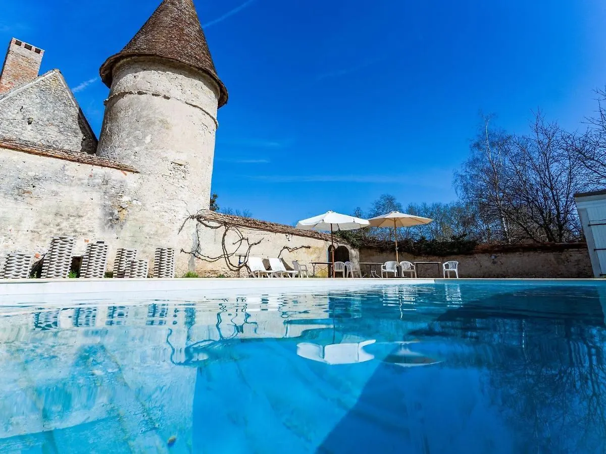 Holiday home Beautiful Castle In Le Veurdre With Private Pool Villa