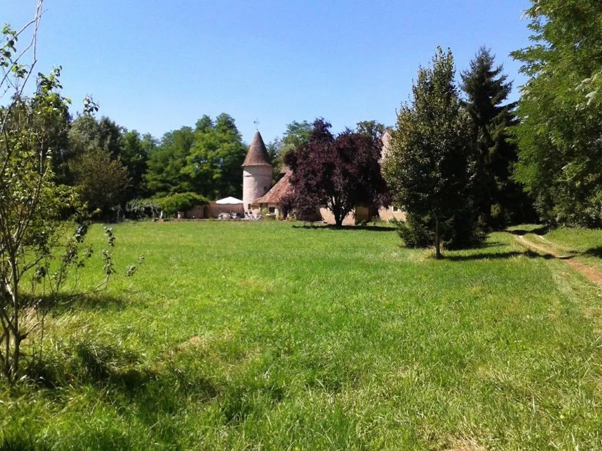 Beautiful Castle In Le Veurdre With Private Pool Villa Holiday home